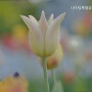 나이팅게일공동생활가정 이미지