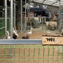 산너머그집 | 대구 아이랑 동물 먹이주기 체험 카페 산너머그집