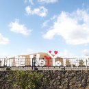 새별목장 이미지