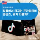 더케이링크(The k-Link) 행정 | 🛍 틱톡에서 빵 터지는 프라임데이 콘텐츠, 뭐가 다를까?