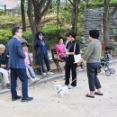 제25회 노인의 날 및 경로의 달 행사 | 제29회 노인의 날 기념식 및 경로의 달 행사/금천노인종합복지관 개관 25주년 및 노인의 날 기념 경로...