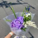 오유플랜트