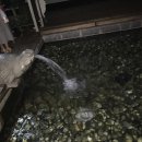 오색한옥펜션 이미지