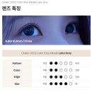 레이크안경원 | 아이유 렌즈로 유명한 오투오투 미셀리아 레이크 그레이, 진주 최저가 구매 꿀팁! (초전 이노티 안경)
