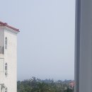 중문동-22 Daum카페