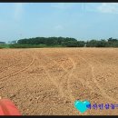 백산제일농장 이미지