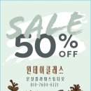 반려식물,꽃다발 맛집 동래 온실플라워스튜디오 행복들여오기