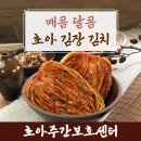 (12/13) 배추김치 담그기 이미지