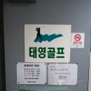 태영스크린골프 이미지
