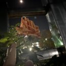 주월중학교 운동장 이미지