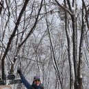 대야미역 이미지