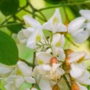 보답 행정사 이미지