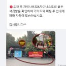 차마을 | 상하이 자유여행 3일차 우전 수향마을 투어 추천 완전 만족 후기