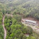 치유의 숲 이미지