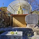 곰카센타 이미지