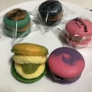 마시찌롱 이미지