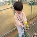 원반농장 이미지