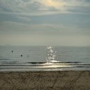 나인독스 이미지