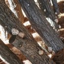 백화농장 이미지