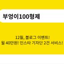 부엉이100형제