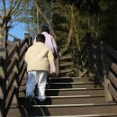 봉황산나래숲 이미지