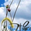 우미린아파트경로당 이미지