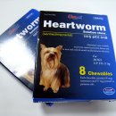 세이브동물약국 이미지