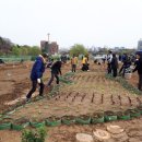 금천농장 아시아경제