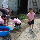 행정초등학교 병설유치원 이미지