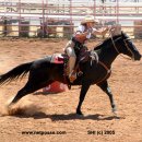 카이의 품종 이야기 7 (American Quater Horse) 이미지