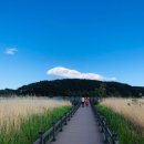 강가요가 이미지