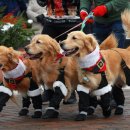 호텔 준(HOTEL JUNE) 이미지