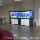 미도아트