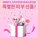 닥터지피부과의원 이미지