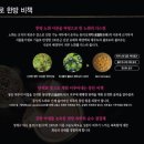 자인뷰티