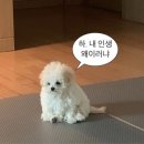 소못 이미지