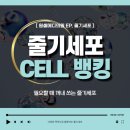 원셀메디의원 네이버블로그