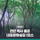 코딩하루 내포충남도청센터 | 충남 내포문화숲길 걷기 여행··· 백제 문화와 천년 불교를 만나는 트레킹
