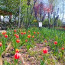 원주허브팜식물박물관 이미지