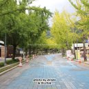 용문사 대형주차장 이미지