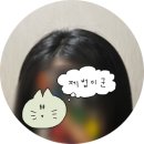 스타일난다헤어 | 보다나 이지업 헤어스타일 플립 내돈내산 후기 - 얇은 모발 뿌리볼륨 전용으로 써본 솔직 리뷰