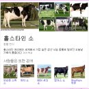 우유는 사람의 몸에(身) 해롭습니다(펌글) 이미지