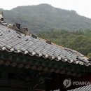 대흥사 이미지