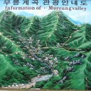 무릉세탁 티스토리
