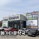 세계로약국 | 메가타운약국 | 청주 창고형 대형 약국에서 편하게 약 쇼핑한 내돈내산 찐 후기
