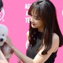 쓰담쓰담 이미지