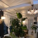 일층상회 이미지