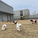송산유치원 이미지