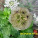 선산대로-20 이미지