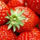 딸기 이미지